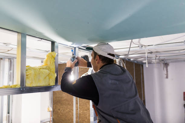 Best Residential Insulation in Burnt Mills, MD